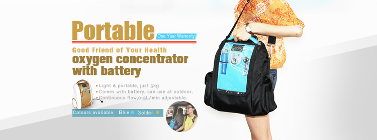 portable oxygen concentrator 