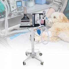 Máquina de anestesia veterinaria con equipo de anestesia de ventilador